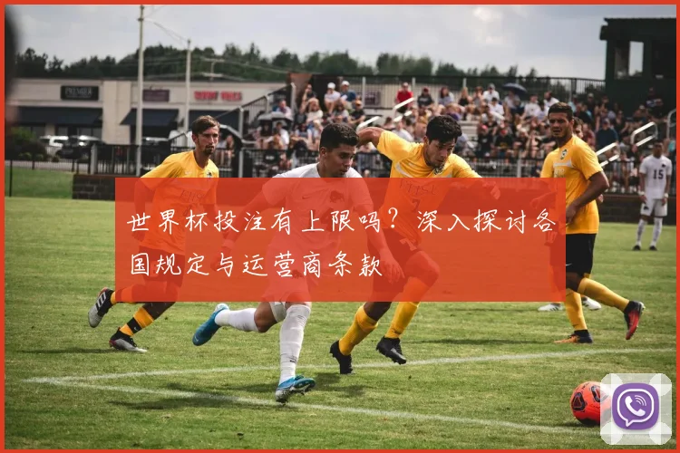 世界杯投注有上限吗？深入探讨各国规定与运营商条款