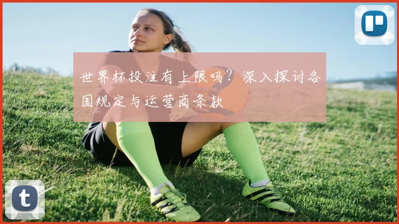 世界杯投注有上限吗?深入探讨各国规定与运营商条款
