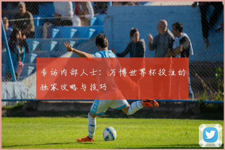 专访内部人士:万博世界杯投注的独家攻略与技巧