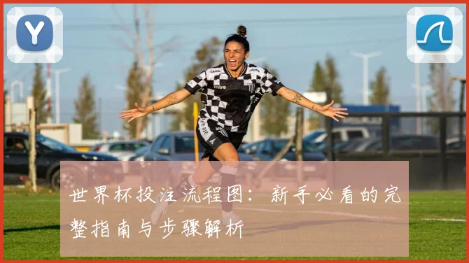 世界杯投注流程图：新手必看的完整指南与步骤解析