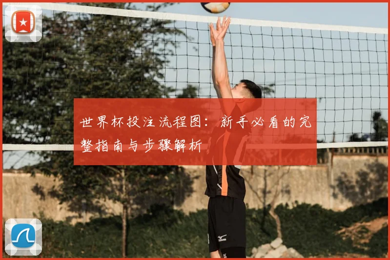世界杯投注流程图：新手必看的完整指南与步骤解析