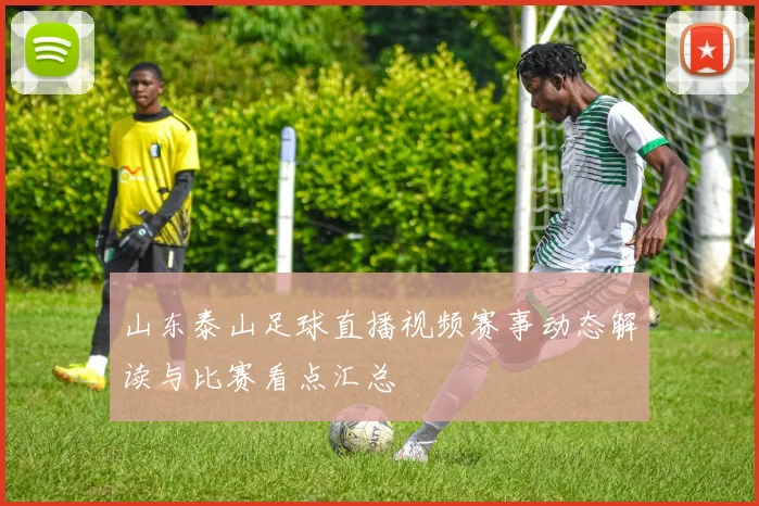 山东泰山足球直播视频赛事动态解读与比赛看点汇总