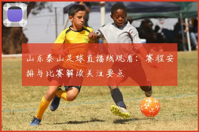山东泰山足球直播线观看：赛程安排与比赛解读关注要点