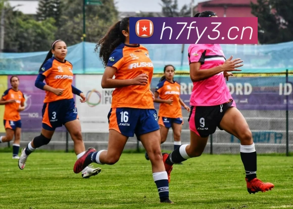 多媒体互动体验