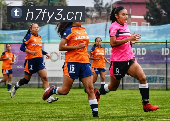 乐鱼在线最新官网APP 高清赛事图